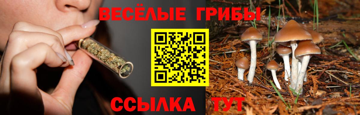 Псилоцибиновые грибы Magic Shrooms Уварово